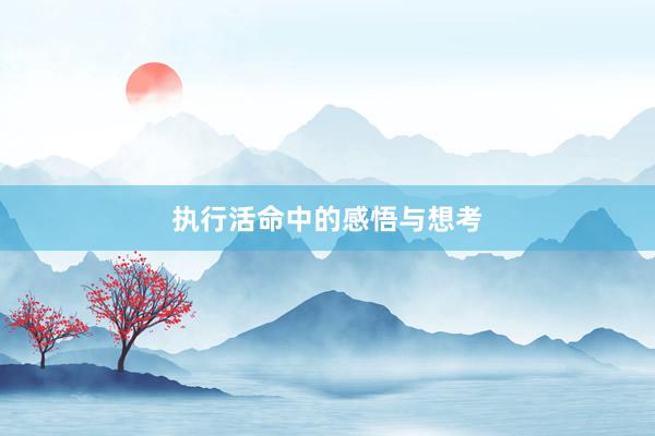 执行活命中的感悟与想考